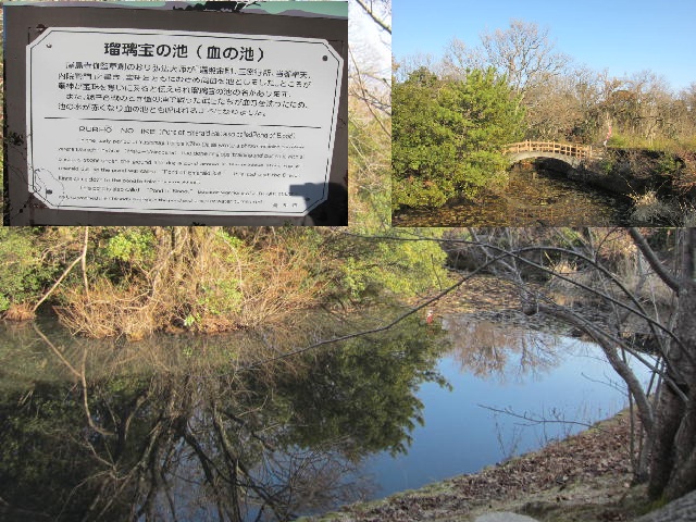 84番屋島寺・瑠璃宝の池・２.JPG