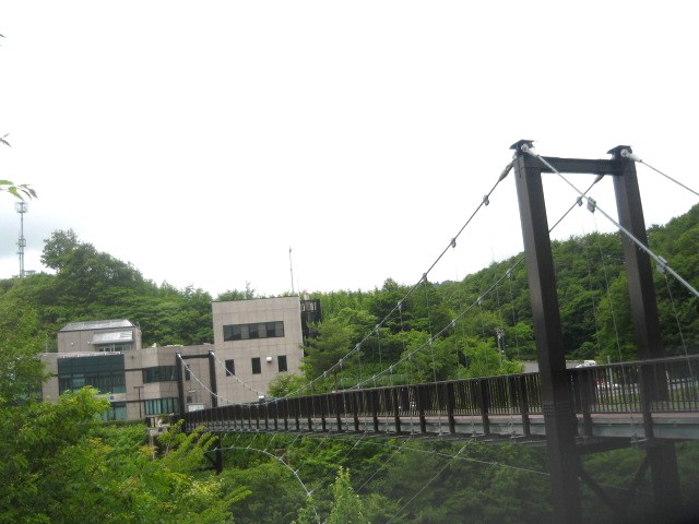 つり橋.JPG