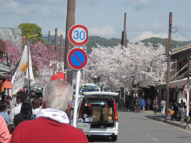 嵐山の桜道.JPG