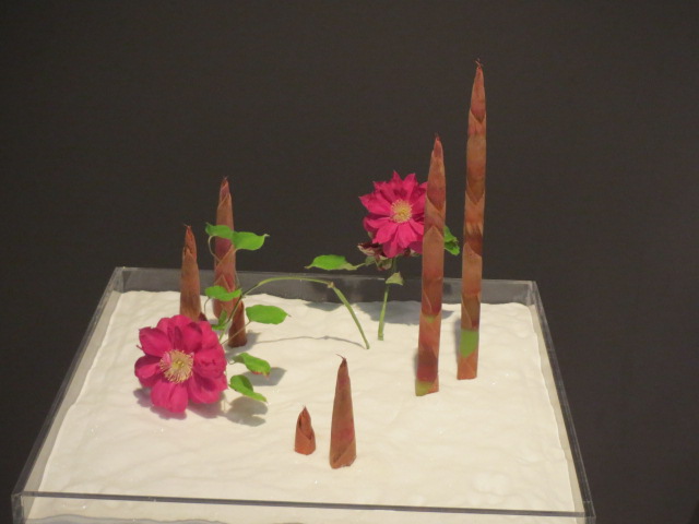 華道・４７筍と紅い花.JPG